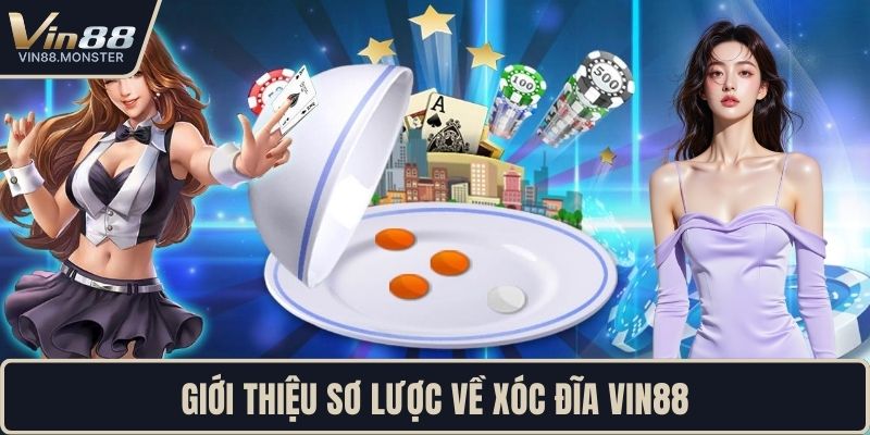 Giới thiệu sơ lược về xóc đĩa VIN88